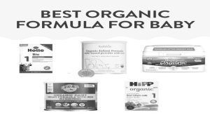 Organic Baby Formula Brands